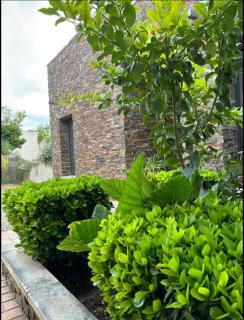 Villa Galiana By Florentia Homes - 4