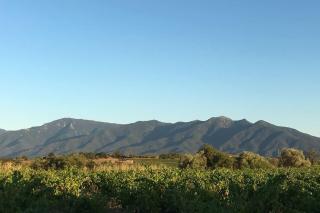 La maison des vendangeurs - 6