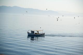 Villa Thea Antonis - Gaios (Passo) - 6