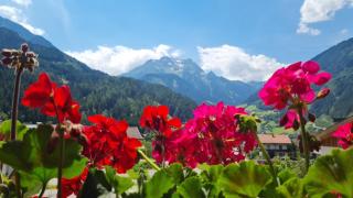 Scheulinghof - Mayrhofen - 7