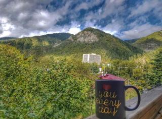 Greenside Borjomi - Borjomi - 0