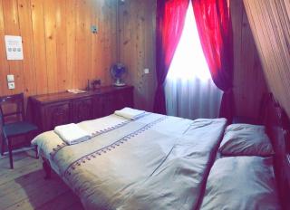Greenside Borjomi - Borjomi - 8