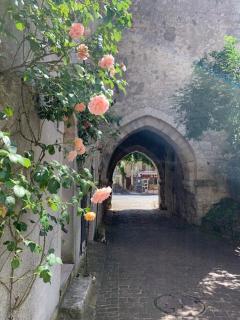 Maison Jeanne d’Arc - Mennetou-sur-Cher - 9
