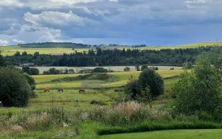 Endeavour Guest House - Aberdeen - 5