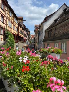 Burgblick-Romantik für 2 mit Seesicht - Meersburg - 7
