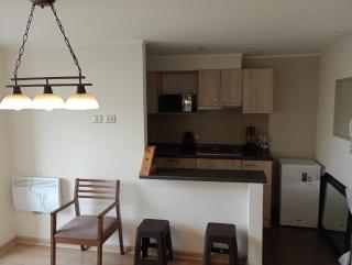 Departamento nuevo, salida norte Temuco - 3