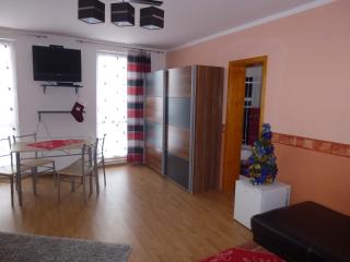Penzion Zelený Dvor - Veľká Lomnica - 1