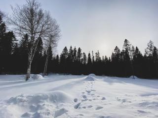 The Maoli Peaceful Retreat Hot tub - 6