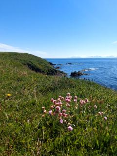Hátún Grímsey - Grímsey - 5
