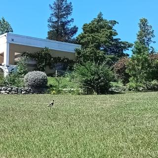 COMPLEJO de CABAÑAS ANANDA KANAN - 8