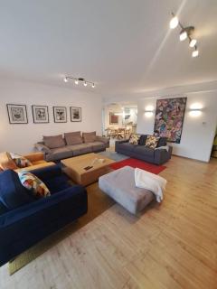 Penthouse VIDA - Dušanovac (historical) - 0