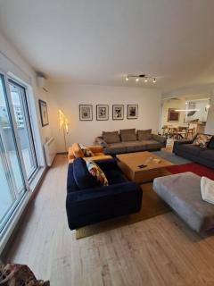 Penthouse VIDA - Dušanovac (historical) - 8