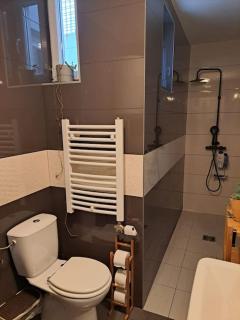 Penthouse VIDA - Dušanovac (historical) - 6