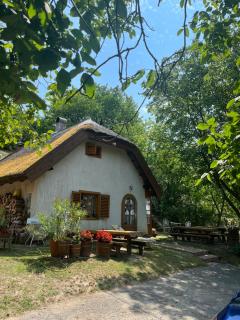 Landhaus mit Weinkeller - Nádas Pince - Szőlősgyörök - 4