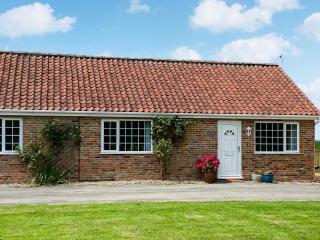 Chestnut - Uk47375 - Burgh le Marsh - 0