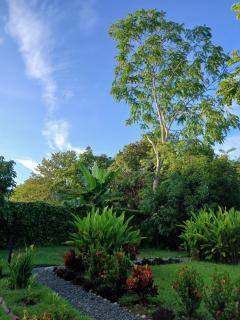 Lovely studio-apartment near the beach - Uvita - 3