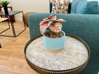 Sur les toits du Havre - Centre-ville - Proche mer - 1