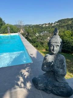 Palmen Oase Saarburg, Exklusives Retreat mit Pool, Palmen und traumhafter Aussicht - Saarburg - 7