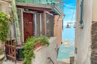 The Sea - Riomaggiore - 1