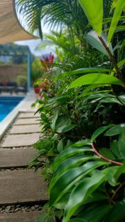 Apartamento con Terraza y Vista al Jardín - Uvita - 1