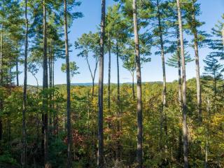 RetreatAtCreekside - Ellijay - 5