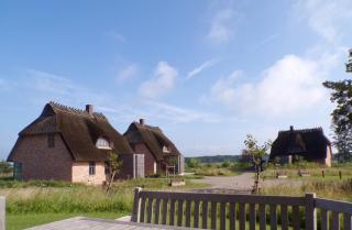 Reetdorf Geltinger Birk Malerhaus Landzunge - Nieby - 9