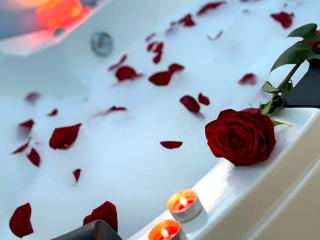 Jacuzzi apartman Ivica - Pančevo - 8