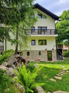 Bran Castle nearby villa - 8 Bedrooms - Bran - 0