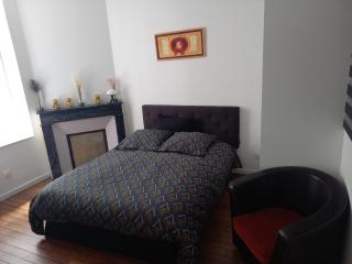 La Teranga de Kadi & Cathy, avec jardin privatif - Nancy - 5