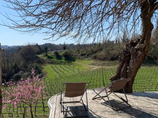 Ca'Vittoria - Prosecco Experience - Unesco - Conegliano - 0