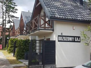 Domki Brzozowy Gaj - Jastrzębia Góra - 0