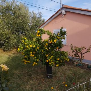 Apartmaji Paliska b - Izola - 3