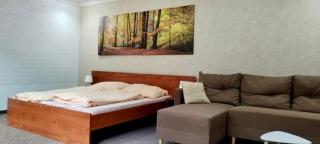 Apartmán Harmónia, Bardejovské kúpele - Bardejovské Kúpele - 9