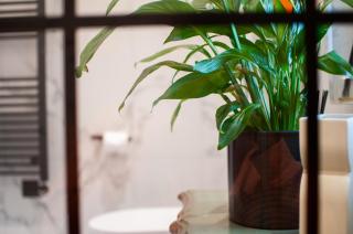 Bosham - Separate and self-contained double garden suite - 5