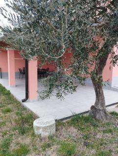 Apartmaji Paliska C1 - 4