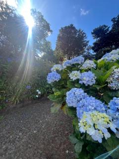 Villa Natural Oasis with panoramic view & bio-diverse 9 950m2 garden - Funchal - 6