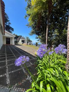 Villa Natural Oasis with panoramic view & bio-diverse 9 950m2 garden - Funchal - 8