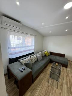 Apartman Zigic - Soko Banja - 2