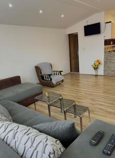 Apartman Zigic - Soko Banja - 6