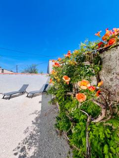 Maison proche océan - parking - wifi - clim - La Tremblade - 6
