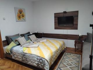 Apartment studio Ignjatovic - Niš - 5