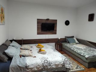 Apartment studio Ignjatovic - Niš - 4