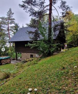 Mountain Lodge Azzy, surrounded by Ultimate Peace! - Valašské Klobouky - 2