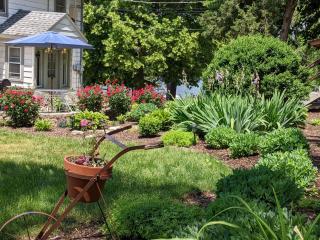 Casual Living Extended Stay Hotels - Algonquin - 9