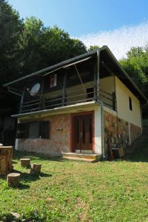 Planinska kuća Palačinka - Despotovac - 9