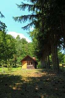 Planinska kuća Palačinka - Despotovac - 0