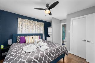 1-Bedroom Haven in Murworth, Close to Medical Center - Houston - 7