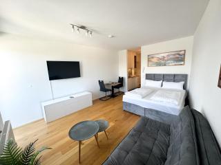 City Comfort Inn - Linz - 0