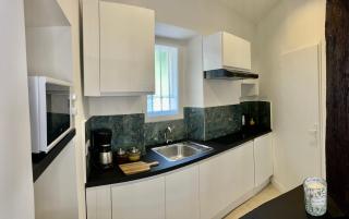 Le petit Carlthon appart - Cannes - 1
