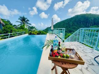 Maison T3 - Vue sur la Baie du Marin, Piscine - Le Marin - 3